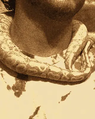 Close-up of the yellow python coiled around the suspect's collar.